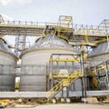 „Baltpool“: biokuro kainos Lietuvoje mažėja septintą savaitę iš eilės