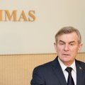 Lithuania didn't demand choice of another location for Astravyets N-plant - Seimas speaker