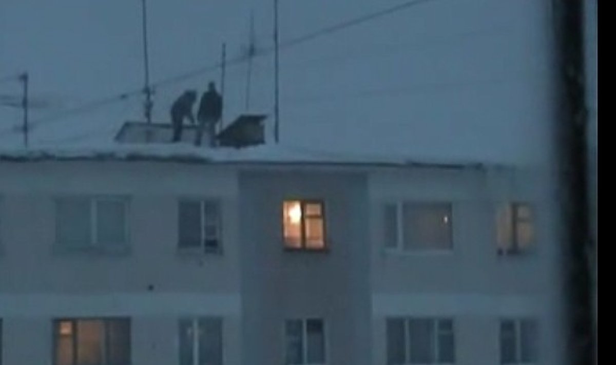 Rusai šokinėja nuo penkiaaukščio į sniego pusnis, topkeep.com nuotr.