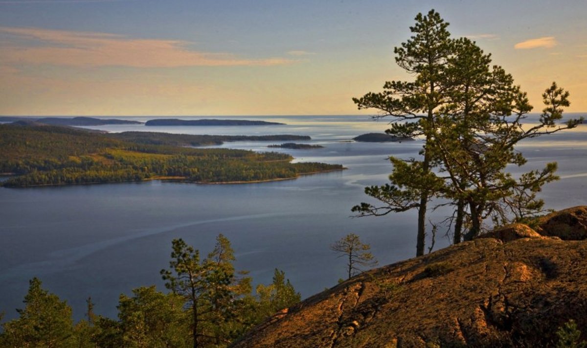 Miškuose prie Baltijos. Švedija, aukščiausia Baltijos pakrantė