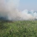 Rekordiniai Amazonės miškų gaisrai kelia grėsmę genties gyvenimo būdui