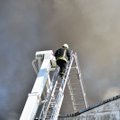 Skelbiami Alytaus gaisrą gesinusių ugniagesių sveikatos tyrimo rezultatai