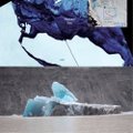 Vienas didžiausių žinomų ledkalnių dreifuoja jūros link