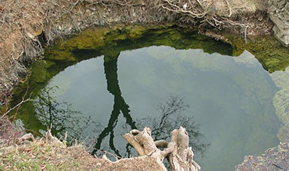 Žalsvasis šaltinis Pasvalyje (Daivos Letukaitės nuotrauka)