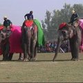 Nepale įvyko pirmasis dramblių grožio konkursas