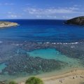 Havajų salos tirpsta, rodo tyrimas