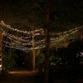 Šiaulių botanikos sode laukia pasakiški vaizdai: žiemojančius augalus puoš šimtai lempučių ir žvakių liepsnelių