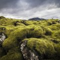 Kvapą gniaužiantys lavos laukai paslėpė žiaurią Islandijos praeitį