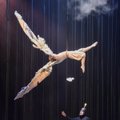 Elitinis pasaulio šou „Cirque du Soleil“ grįžta į Vilnių: perkels į magišką pasaulį