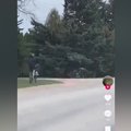 Socialiniuose tinkluose plinta vaizdo įrašas: dviratininkas su „trikoju“ nusprendė susidoroti pats