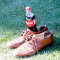 Rado netikėtą pritaikymą „Coca-Colai“: puikiai naikina kenkėjus