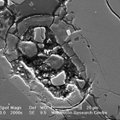 Marso meteorite rasta į ląstelę panaši ovalinė struktūra