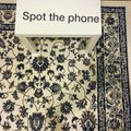 Ši nuotrauka varo iš proto: užduotis pastabiausiems - ar sugebėsite ant kilimo rasti nukritusį telefoną?