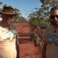 V. Radzevičius ir M. Starkus aptiko neįtikėtinus vaisius brandinantį australišką medį