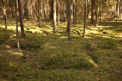 Jaskoniškių pažintinis takas