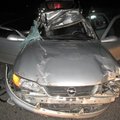 Naktį automobilis susidūrė su briedžiu – sužalotą merginą ištiko koma