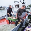 Žvejas verslininkas nesutinka, kad nėra žuvies: pagaunam tiek, kad nėra kur dėti