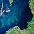 Baltijos jūroje fiksuojamas itin retas reiškinys – paskutinį kartą mokslininkai tokį sūraus vandens antplūdį stebėjo prieš 10 metų