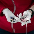Skubiai prašo pagalbos: vienos kraujo grupės atsargos kritiškai išseko
