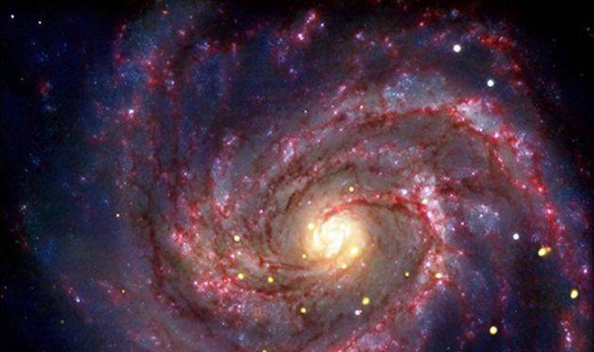 Supernova M100 galaktikoje, po kurios sprogimo susidarė juodoji skylė
