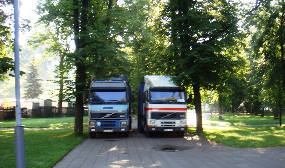 Vilniuje, Sereikiškių parke. 2012-07-11 
