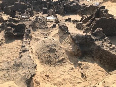 Archeologai Egipte aptiko kelias senovines mumijas, kurioms toje vietoje, kur turėjo būti liežuvis, buvo įdėtos auksinės plokštelės. The Egyptian Ministry of Tourism and Antiquities nuotr.
