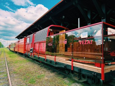Traukinys Panevėžio siauruko stotyje