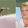 Nuvertintas vabzdžio įgėlimas kelia grėsmę gyvybei: kaip atpažinti anafilaksinį šoką ir išsigelbėti?