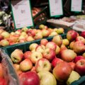 Paskelbė obuolių derliaus prognozes Europoje ir Lietuvoje