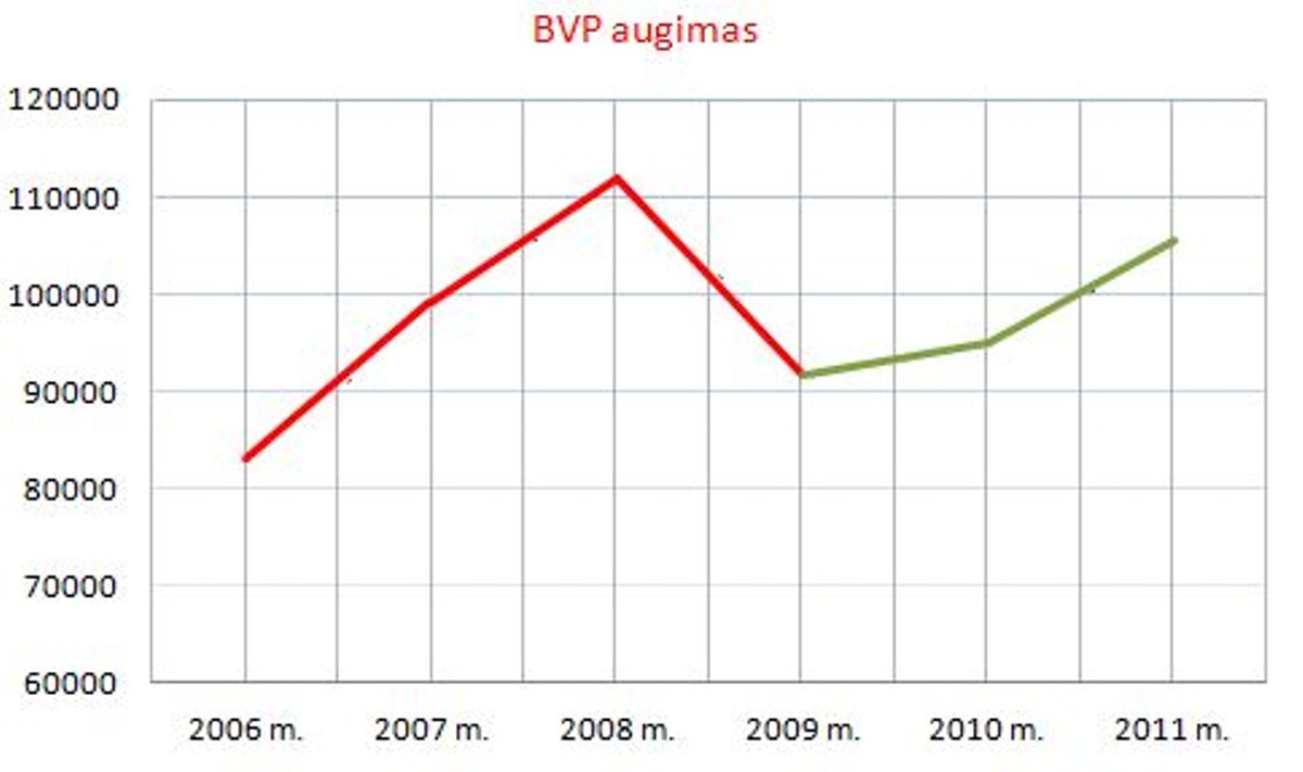 BVP augimas