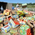 Kremliaus įvestas maisto embargas saviems piliečiams per metus kainuoja 6,3 mlrd. eurų