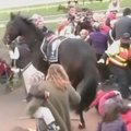Lenktyninis žirgas Australijoje šoko į minią ir sužeidė septynis žmones