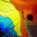 Seimas bandys įstatymais užkristi kelią homoseksualams įsivaikinti