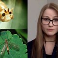 Vabzdžius Londone tyrinėjanti lietuvė mokslininkė įspėja apie masinį rūšių nykimą: stebime situaciją, kad patys neišnyktume