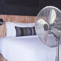 Varginant vasariškiems karščiams: patarimai, kokį ventiliatorių rinktis