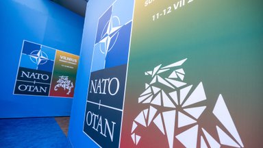 Lietuvos narystės NATO 20-mečio minėjimas Seime