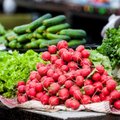 Tinginių džiaugsmu vadinama daržovė valo kepenis, saugo nuo opaligės ir netgi nuo skrandžio vėžio