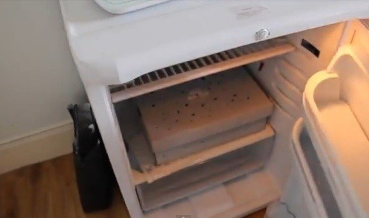 Šiame šaldytuve gyvenęs vėžlys budinamas iš žiemos miego