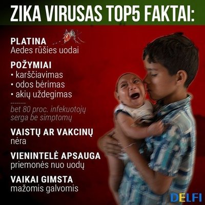 Zika virusas TOP faktai