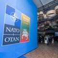 Seimas passes resolution urging NATO to invite Ukraine to join bloc at Washington summit