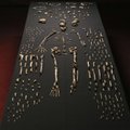 Антропологи в Африке нашли "звездного" древнего человека