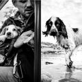 Keliaudamas aplink pasaulį fotografuoja šunis: kiekviena nuotrauka unikali