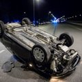 Į avariją su briedžiu pateko garsusis Vilniaus policininkas