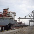 Из украинских портов вышли 12 судов с сельхозпродукцией