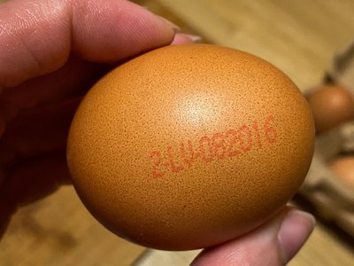 Kiaušinio ženklinimas