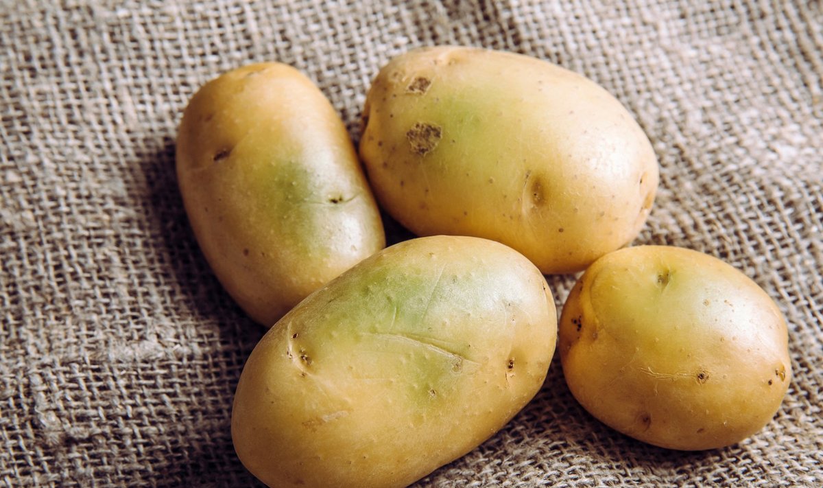 Pažaliavusios bulvės