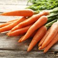 В продажу поступила литовская морковка, сколько она стоит в магазинах