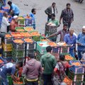 Indijoje nematytas pomidorų kainų šuolis: ūkininkai trina rankomis