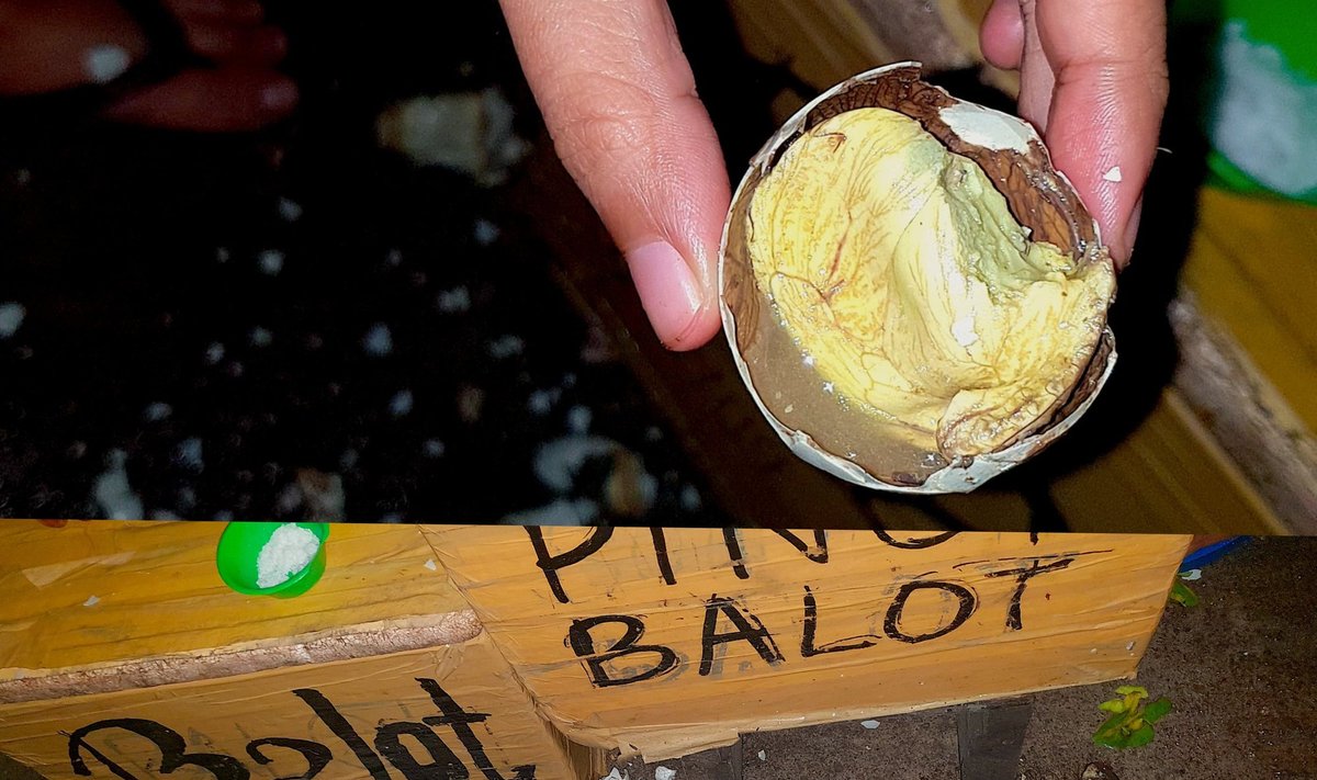 Filipiniečių delikatesas - balut kiaušinis