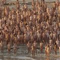 Tūkstančiai nuogalių nusifotografavo prie Negyvosios jūros